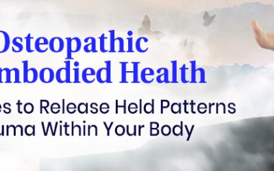 Brian Siddhartha Ingle – Somatic & Osteopathic Movement for Embodied Health