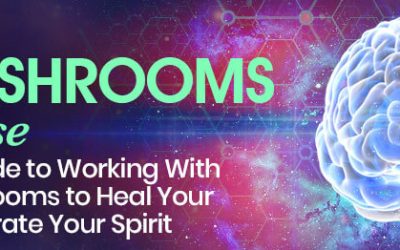 Christopher Hobbs – The Magic Mushrooms Course