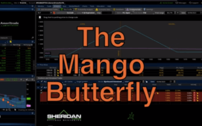 Jay Bailey – The Mango Butterfly Deep Dive 2023