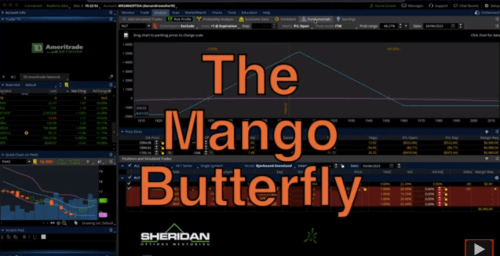 Jay Bailey – The Mango Butterfly Deep Dive 2023 (1)