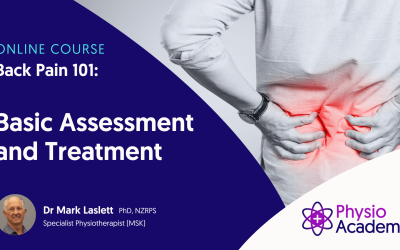 Mark Laslett – Back Pain 101 – Basic Assessment & Treatment