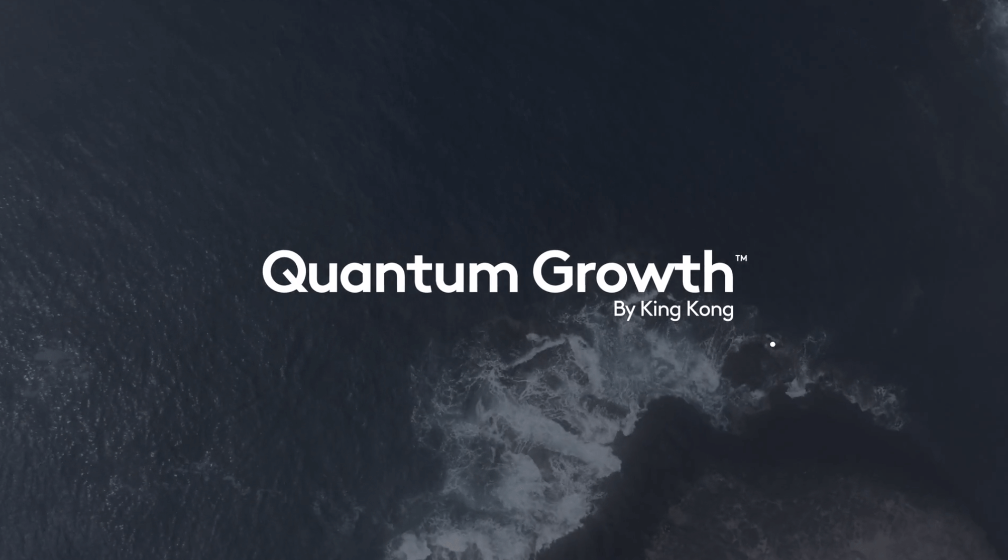 Sabri Suby – Quantum Growth (1)