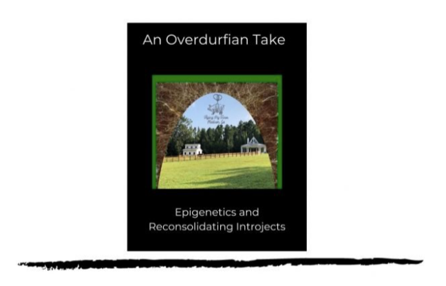 John Overdurf – An Overdurfian Take on… Epigenetics and Reconsolidating Introjects