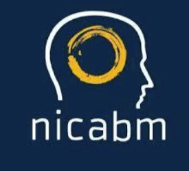 NICABM – Brain-Smart Webinar Series 2015