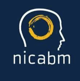 NICABM – Brain-Smart Webinar Series 2015