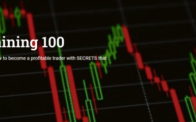 Wealthy Empire Network – Trading Signals And Training 100