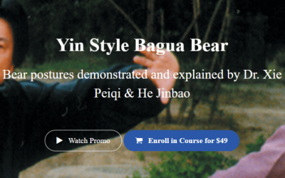 Xie Pieqi – Yin Style Bagua Bear