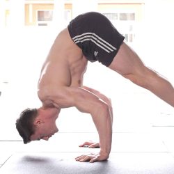 Daniel Vadnal (FitnessFAQs) – Handstand Pro