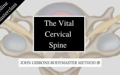 John Gibbons – The Vital Cervical Spine Masterclass