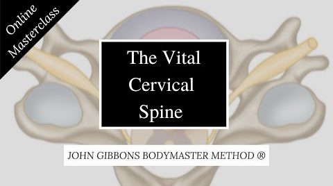 John Gibbons – The Vital Cervical Spine Masterclass