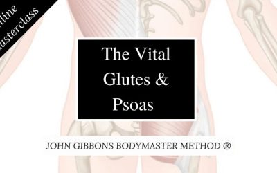 John Gibbons – The Vital Glutes & Psoas
