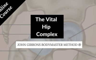 John Gibbons – The Vital Hip Complex
