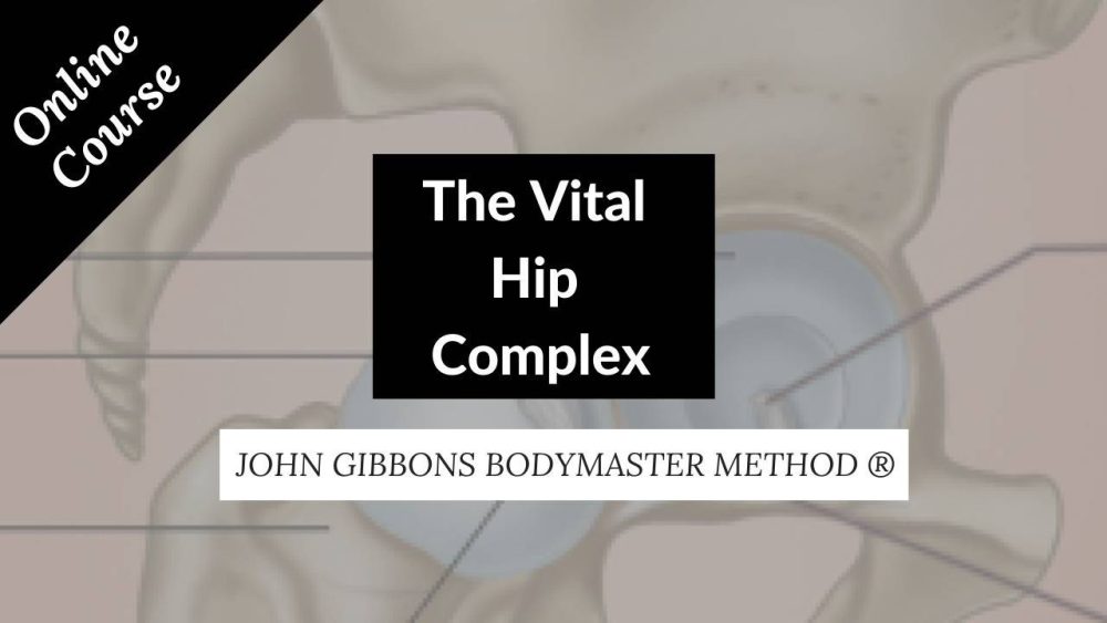John Gibbons – The Vital Hip Complex