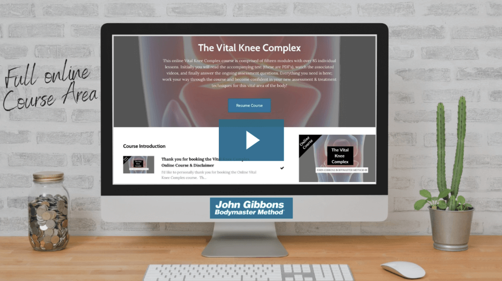 John Gibbons – The Vital Knee Complex (1)