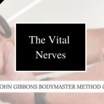 John Gibbons – The Vital Nerves Masterclass