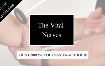 John Gibbons – The Vital Nerves Masterclass