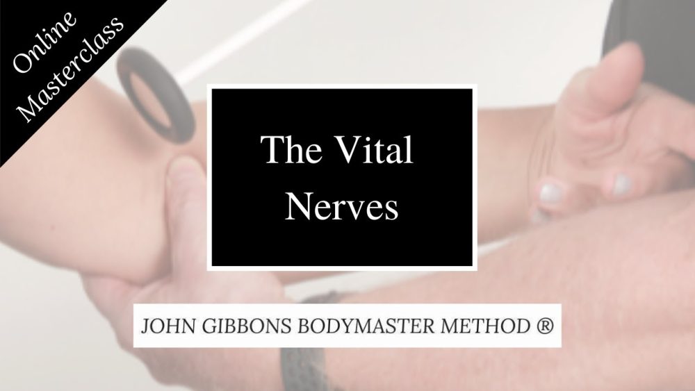 John Gibbons – The Vital Nerves Masterclass