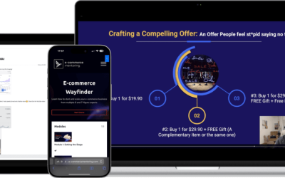 E-commerce Mentoring – E-commerce Wayfinder