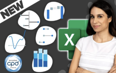 Leila Gharani – Business Charts in Excel