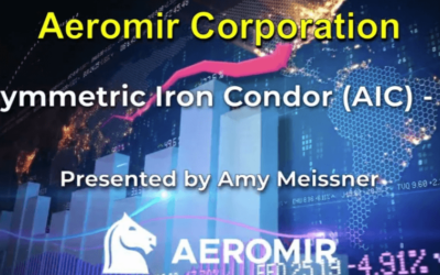 Aeromir – Amy Meissner’s AIC-22 Workshop