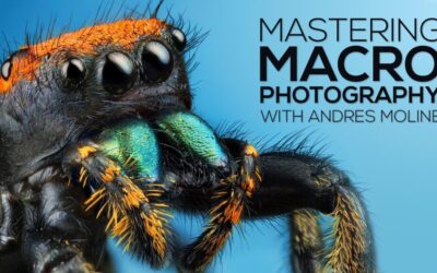 Andres Moline – Mastering Macro Photography