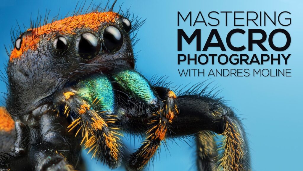 Andres Moline – Mastering Macro Photography