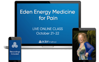 Donna Eden – Eden Energy Medicine for Pain