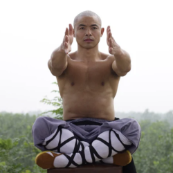 Xi Yan Lei – Sui Jing (Bone Marrow Cleansing) Qigong