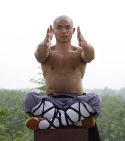 Xi Yan Lei – Sui Jing (Bone Marrow Cleansing) Qigong