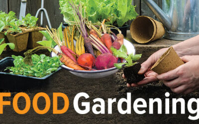 Melinda Myers – How to Grow Anything: Food Gardening for Everyone