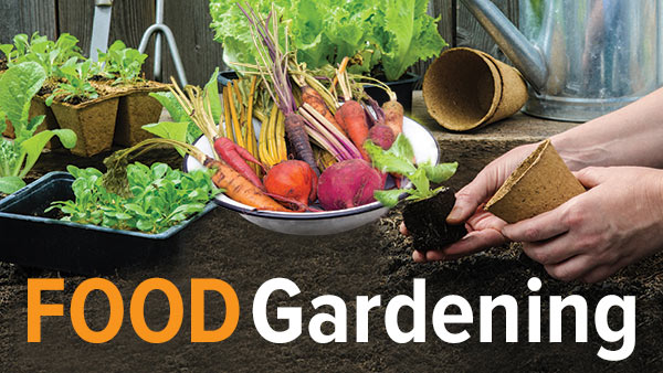 Melinda Myers – How to Grow Anything Food Gardening for Everyone