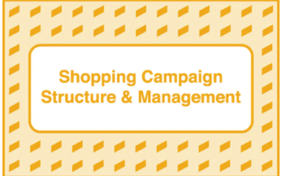 Take Some Risk – Shopping Campaign Structure and Management