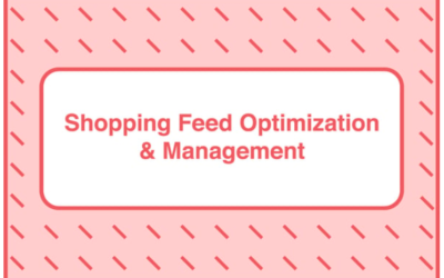 Take Some Risk – Shopping Feed Optimization and Management