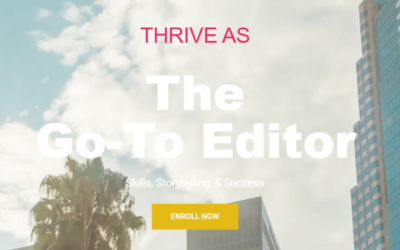 This Guy Edits – The Go-To Editor Course Bundle