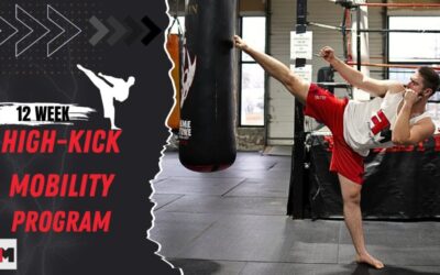 Flexibility Maestro – 12 Week High-Kick Mobility Program