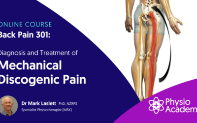 Mark Laslett – Back Pain 301 – Mechanical Discogenic Pain