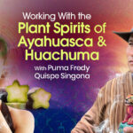 Puma Fredy Quispe Singona – The Shift Network – Working With the Plant Spirits of Ayahuasca and Huachuma