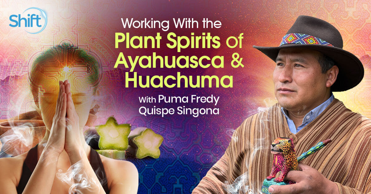 Puma Fredy Quispe Singona – The Shift Network – Working With the Plant Spirits of Ayahuasca and Huachuma (1)