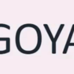 Sam9y – Goya Advanced Course