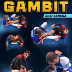 Shai Gerena – The Thiefs Gambit