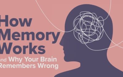 TTC – How Memory Works and Why Your Brain Remembers Wrong