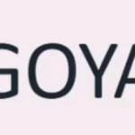 Goya Advanced Course 2023 – Sam9y