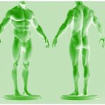 Sigh Energy – Male Radiance Powerful Plus +11x(Extra Strong)