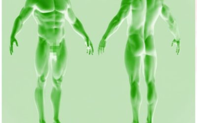 Male Radiance Powerful Plus +11x 1 Sigh Energy – Male Radiance Powerful Plus +11x(Extra Strong)