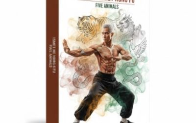 Ismet Himmet Kung Fu – Five Animals
