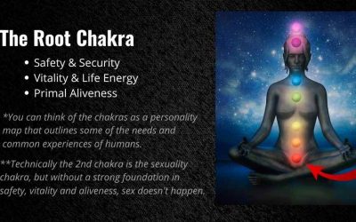 Taylor Johnson – Unlocking the Root