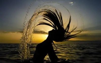 Transmutation Club – Mastering the Power of Sex Energy Transmutation Transmutation Club – Mastering the Power of Sex Energy Transmutation