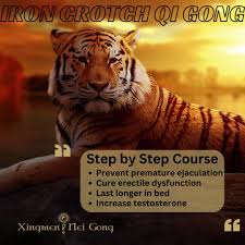 Xingmen Neigong – Iron Crotch QiGong